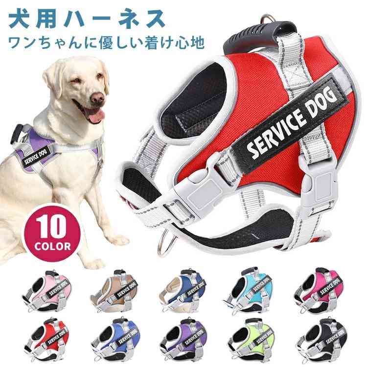 10カラー/6サイズ 犬 ハーネス 胴輪 名入れ 迷子札 ネーム 超小型犬 中型犬 大型犬 夜間反射 ベルクロ 脱げにくい 迷子防止 脱走防止 IDハーネス 連絡先 電話番号 TEL アウトドア【名入