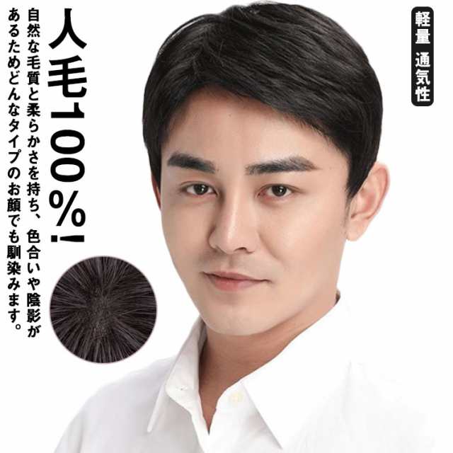 商品説明人毛100％! ウイッグ かつら フルウィッグ ビジネス用 カツラ 自然 ナチュラル 医療用 軽量 メンズ 黒髪 短髪 白髪隠し 人毛 ショート